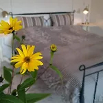 De Rolders Wapenveld
