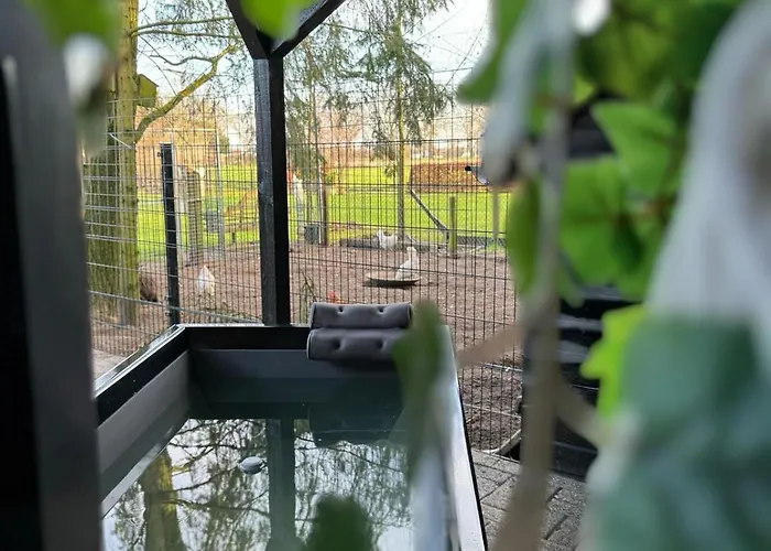 De Rolders Bed & Breakfast 3*