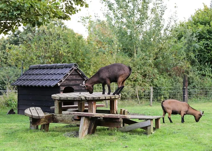 De Rolders 3* Wapenveld