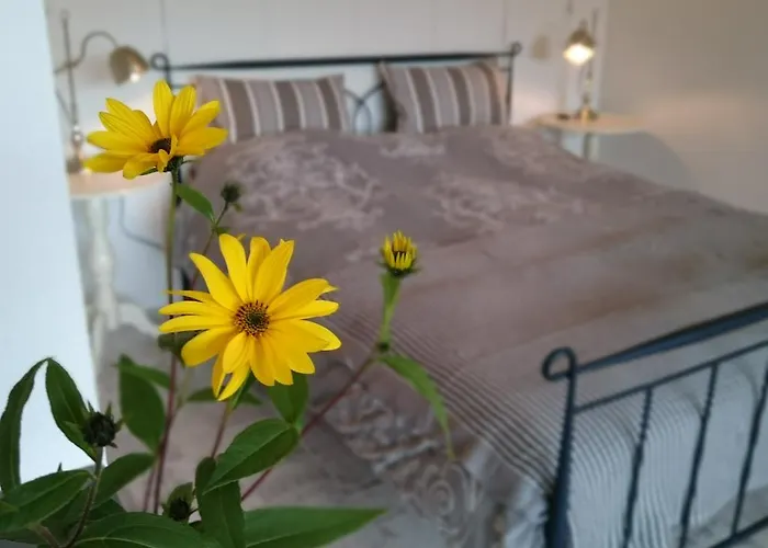 De Rolders Wapenveld